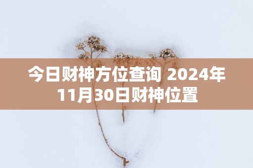 今日财神方位查询 2025年11月30日财神位置