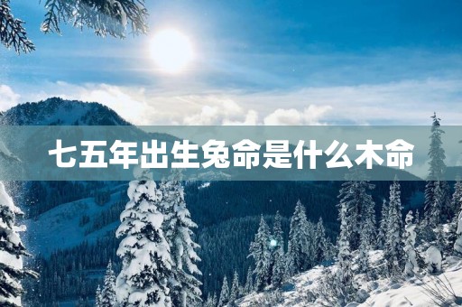 七五年出生兔命是什么木命