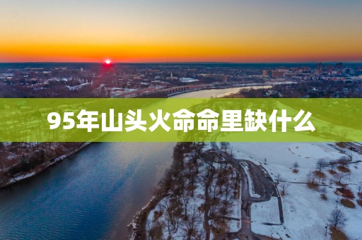 95年山头火命命里缺什么