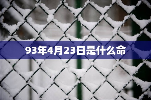 93年4月23日是什么命