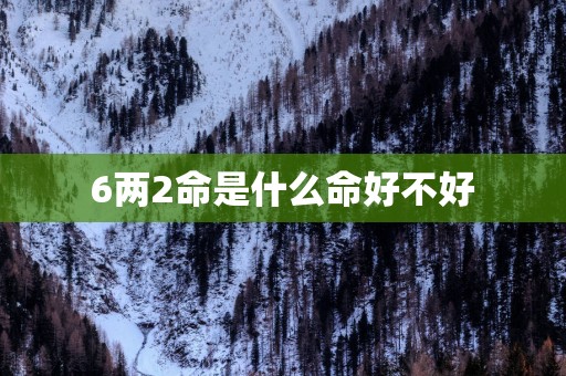 6两2命是什么命好不好