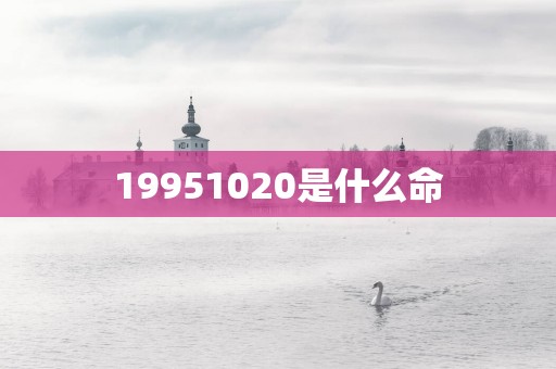 19951020是什么命