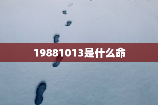 19881013是什么命