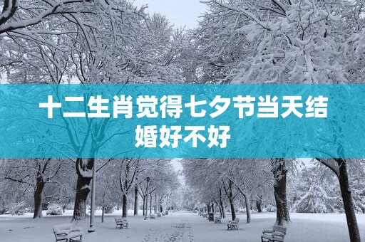 十二生肖觉得七夕节当天结婚好不好