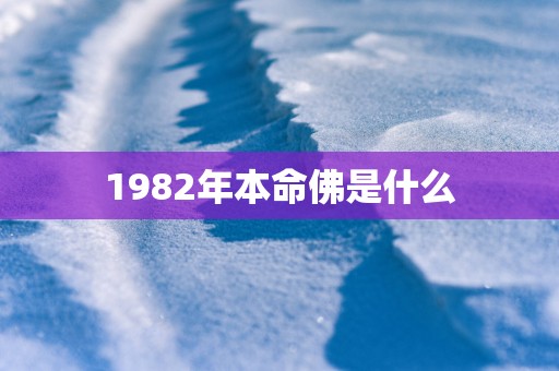 1982年本命佛是什么