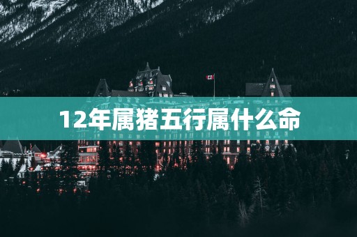 12年属猪五行属什么命