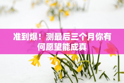 准到爆！测最后三个月你有何愿望能成真