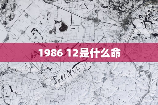1986 12是什么命