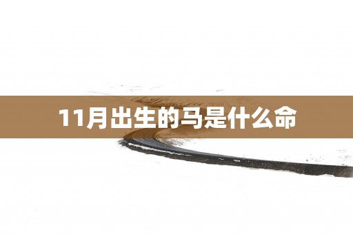 11月出生的马是什么命