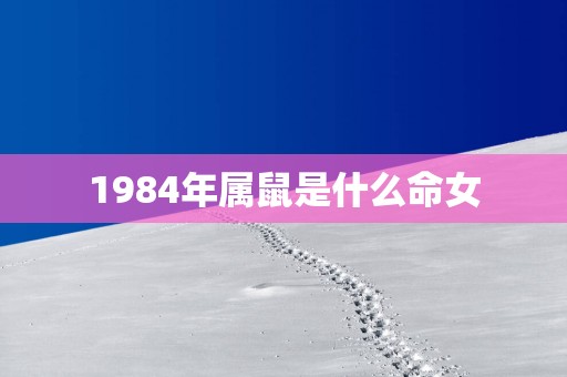 1984年属鼠是什么命女