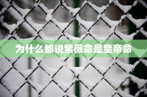 为什么都说紫薇命是皇帝命