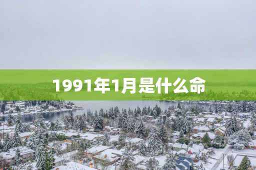 1991年1月是什么命