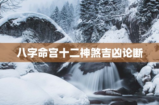 八字命宫十二神煞吉凶论断