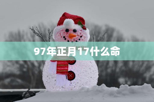 97年正月17什么命
