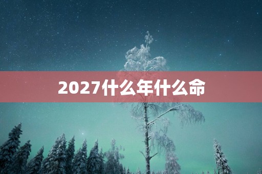 2027什么年什么命