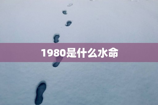 1980是什么水命