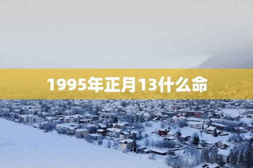1995年正月13什么命