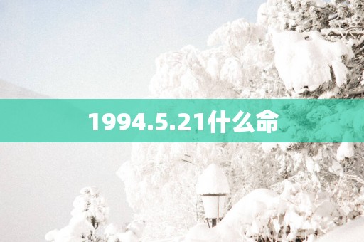 1994.5.21什么命