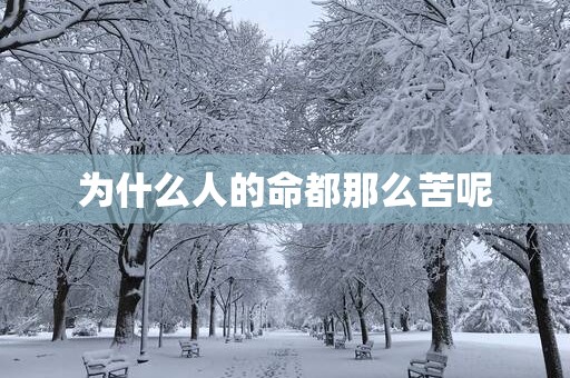 为什么人的命都那么苦呢