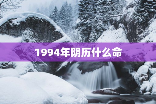 1994年阴历什么命