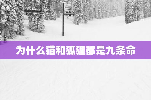 为什么猫和狐狸都是九条命