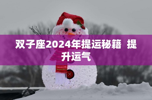 双子座2025年提运秘籍  提升运气