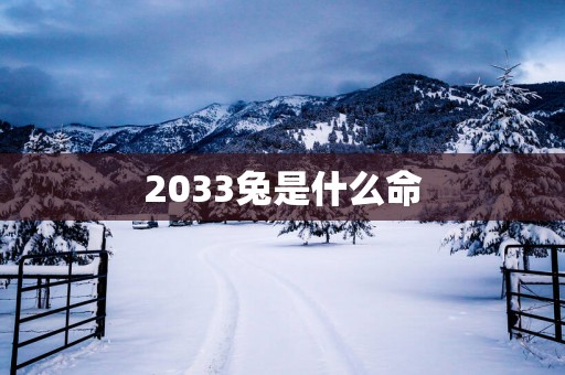 2033兔是什么命