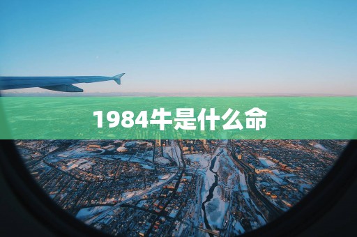 1984牛是什么命