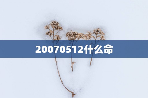 20070512什么命
