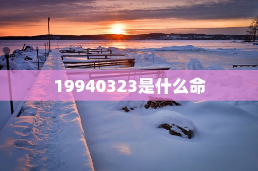 19940323是什么命