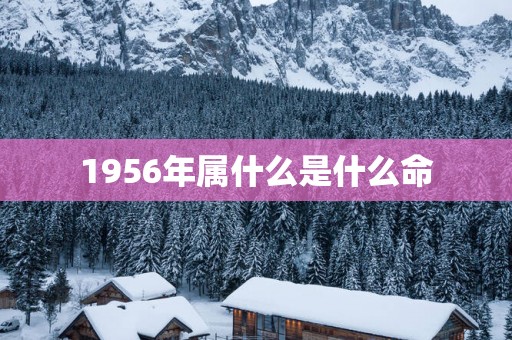 1956年属什么是什么命