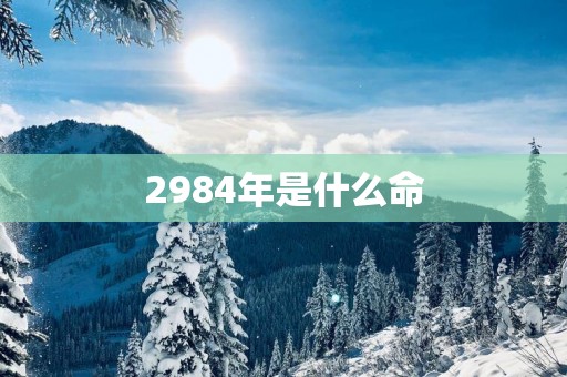 2984年是什么命