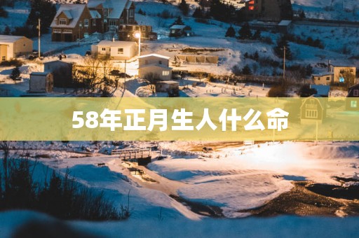 58年正月生人什么命