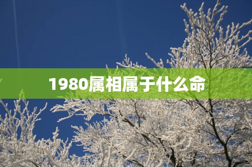 1980属相属于什么命