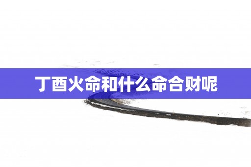 丁酉火命和什么命合财呢
