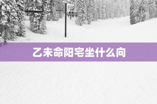 乙未命阳宅坐什么向
