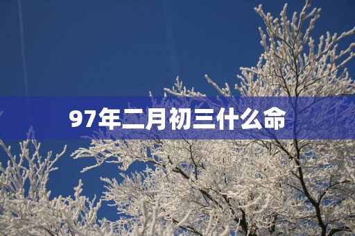 97年二月初三什么命