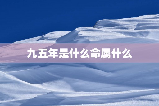 九五年是什么命属什么