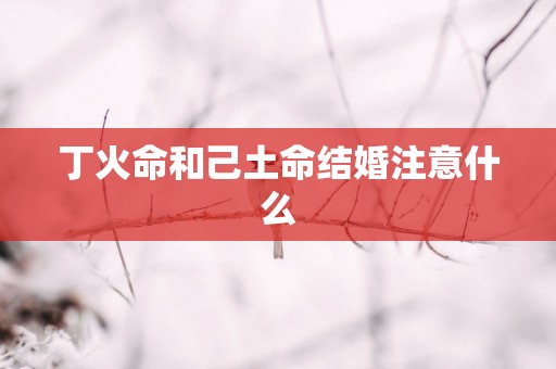丁火命和己土命结婚注意什么