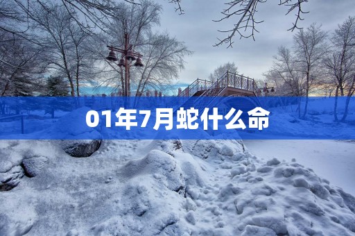 01年7月蛇什么命