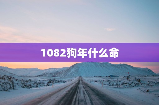 1082狗年什么命