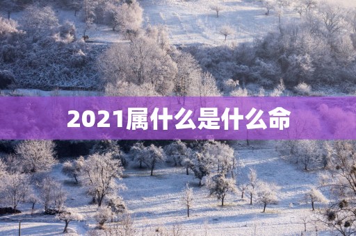 2025属什么是什么命