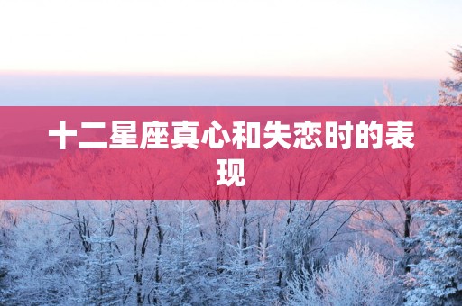 十二星座真心和失恋时的表现