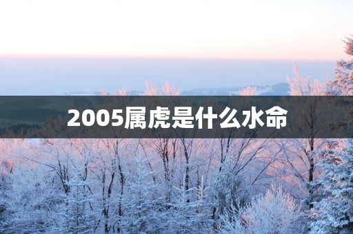 2005属虎是什么水命