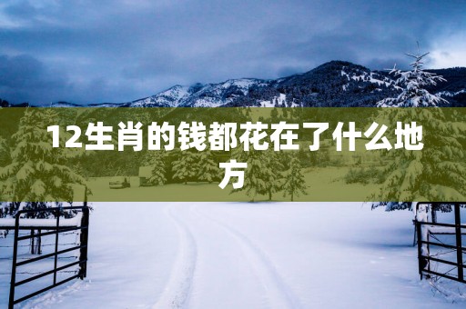 12生肖的钱都花在了什么地方