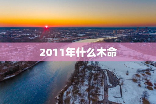 2011年什么木命
