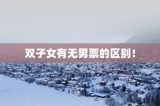 双子女有无男票的区别！