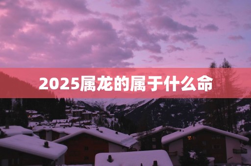 2025属龙的属于什么命