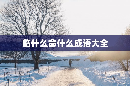 临什么命什么成语大全