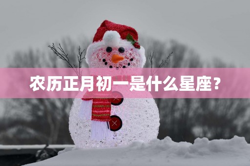农历正月初一是什么星座？
